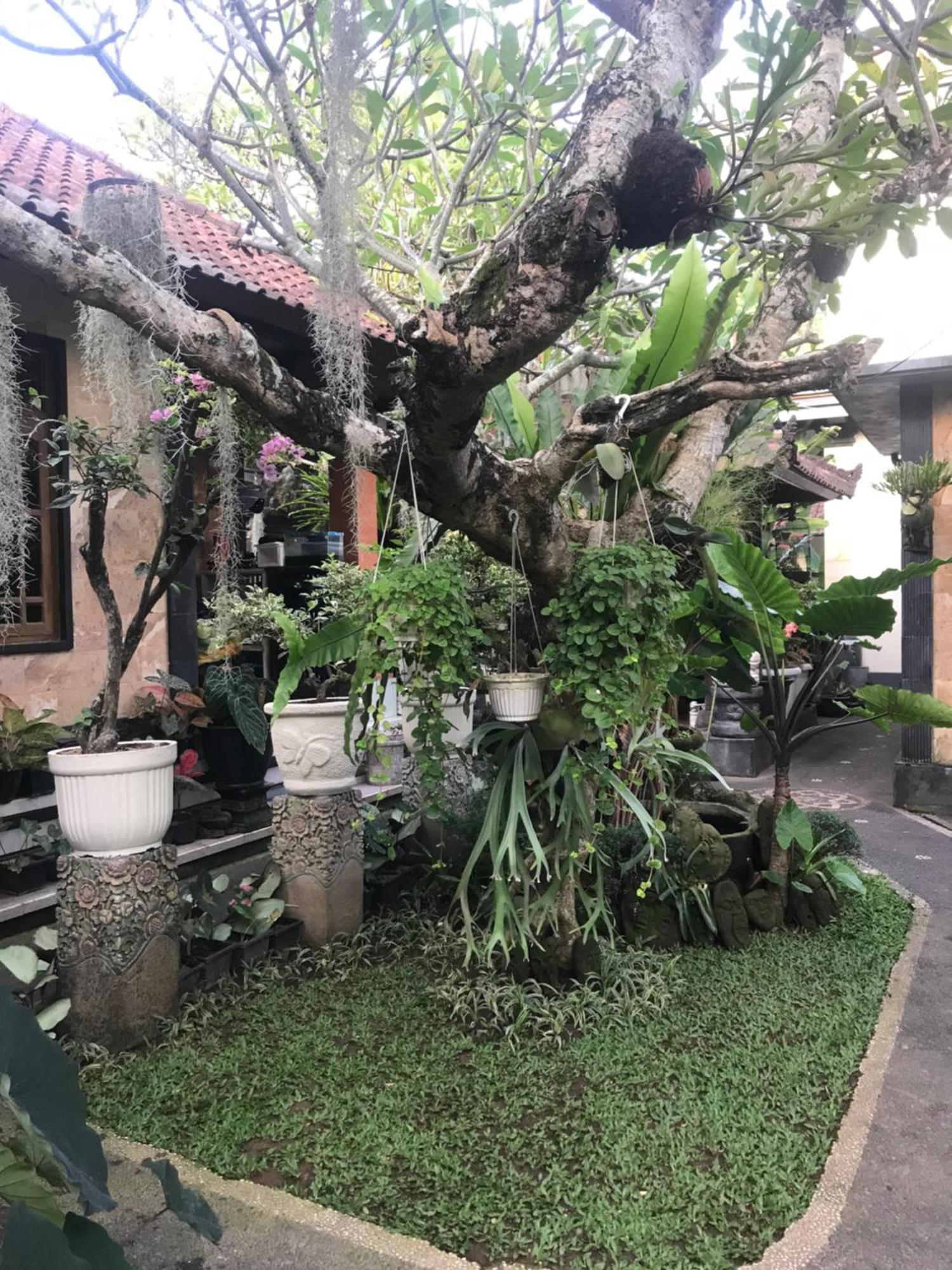 Gus Arditya Homestay Ubud  Exterior photo
