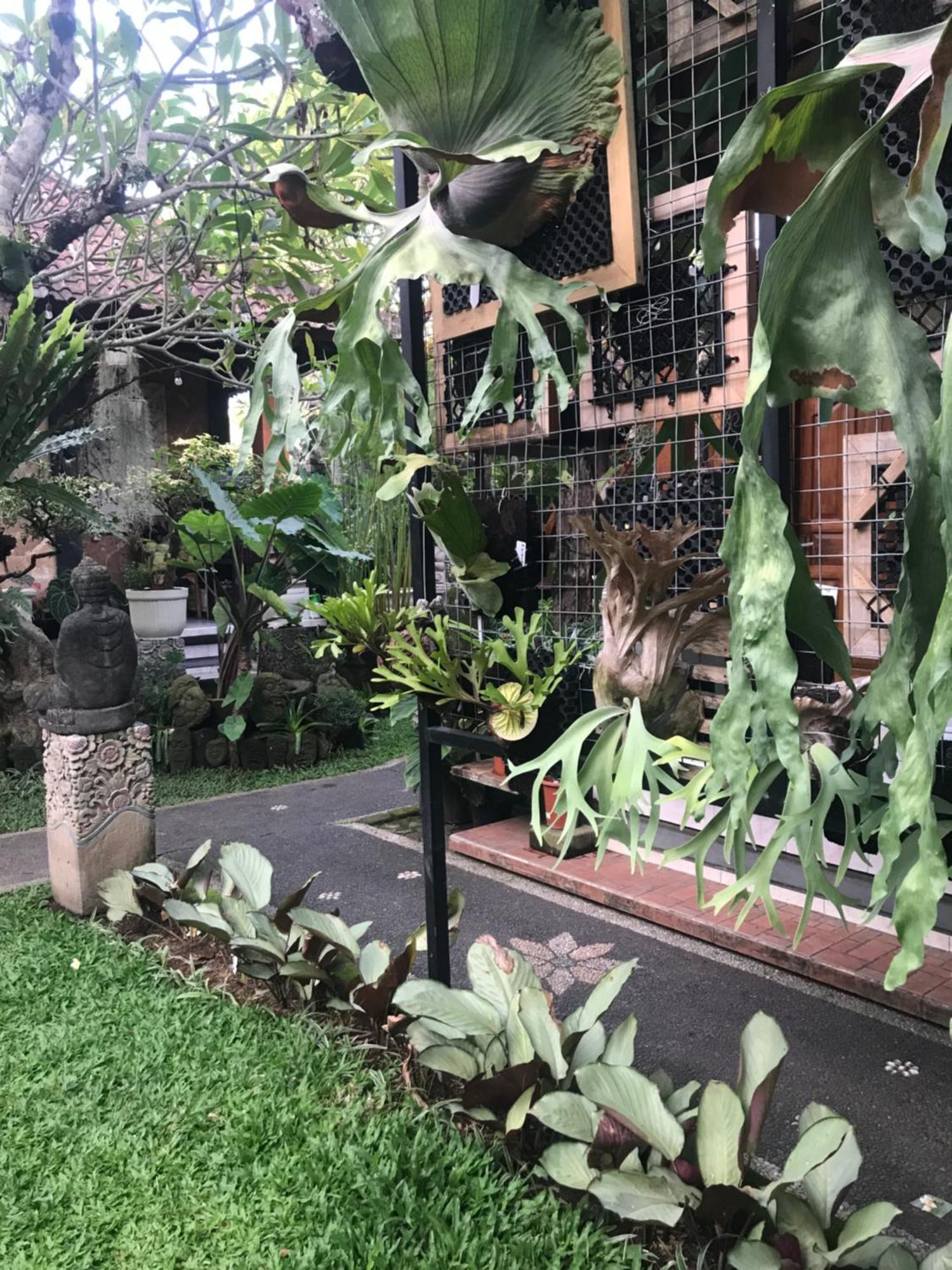 Gus Arditya Homestay Ubud  Exterior photo