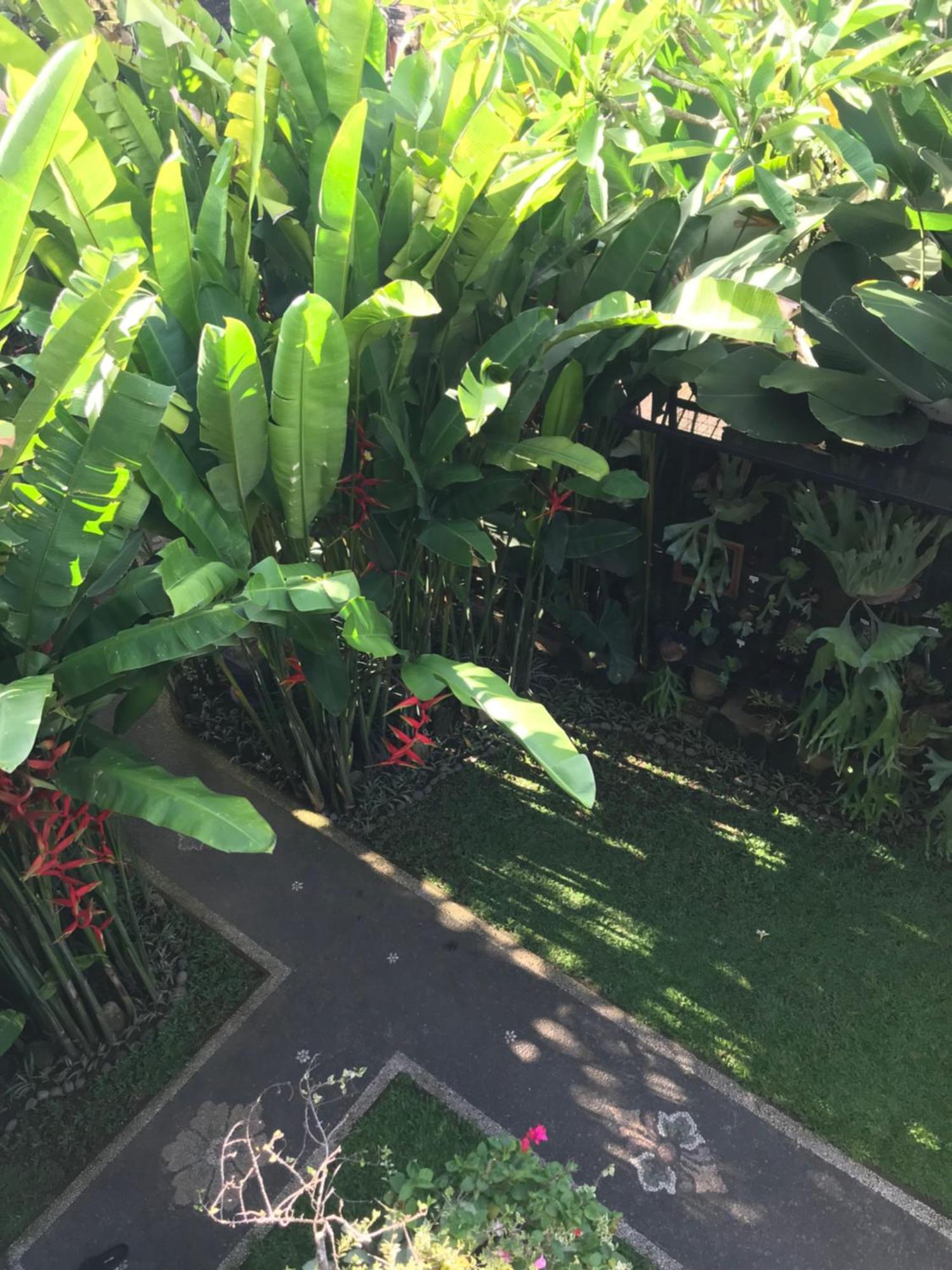 Gus Arditya Homestay Ubud  Exterior photo