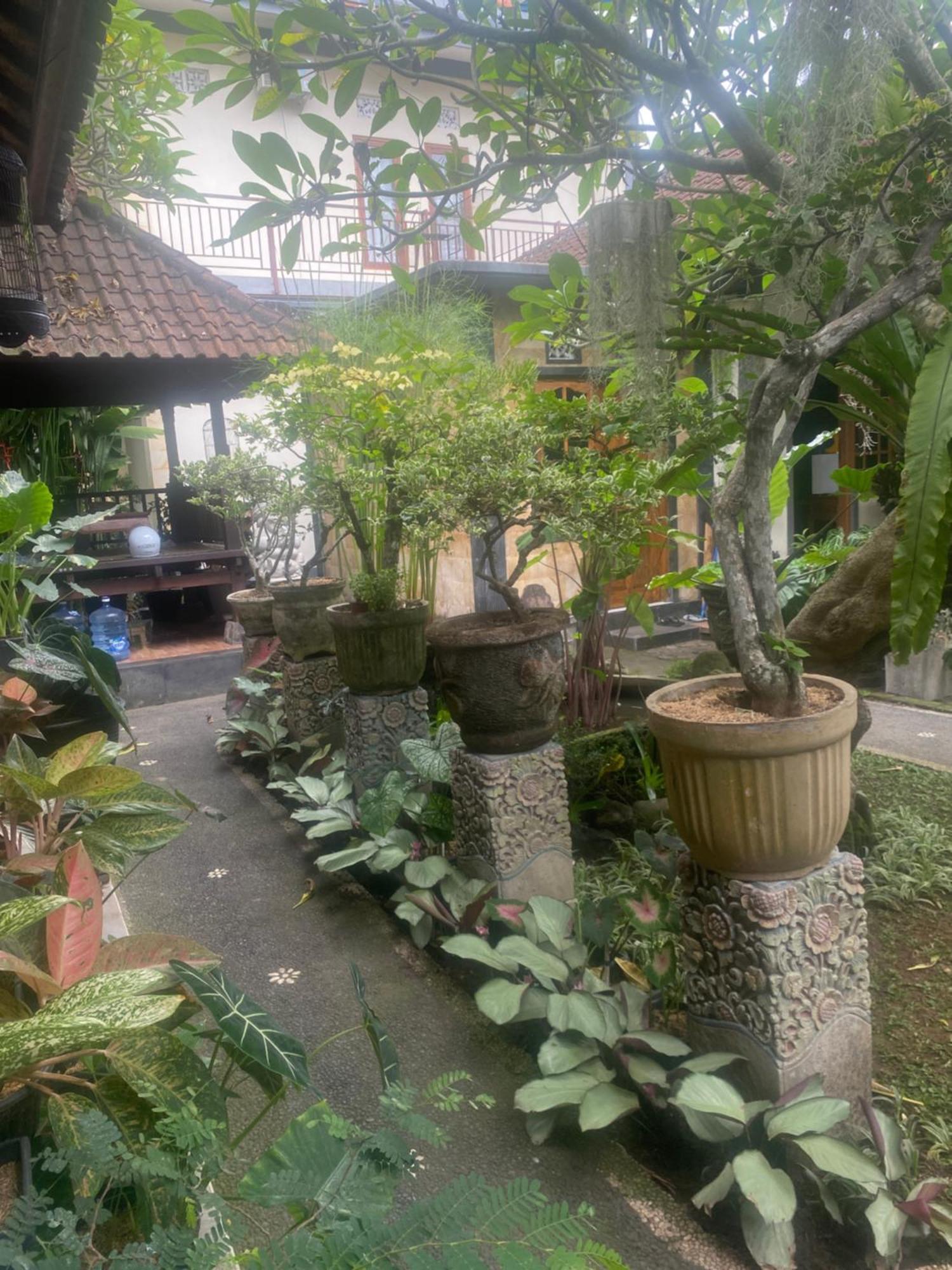 Gus Arditya Homestay Ubud  Exterior photo