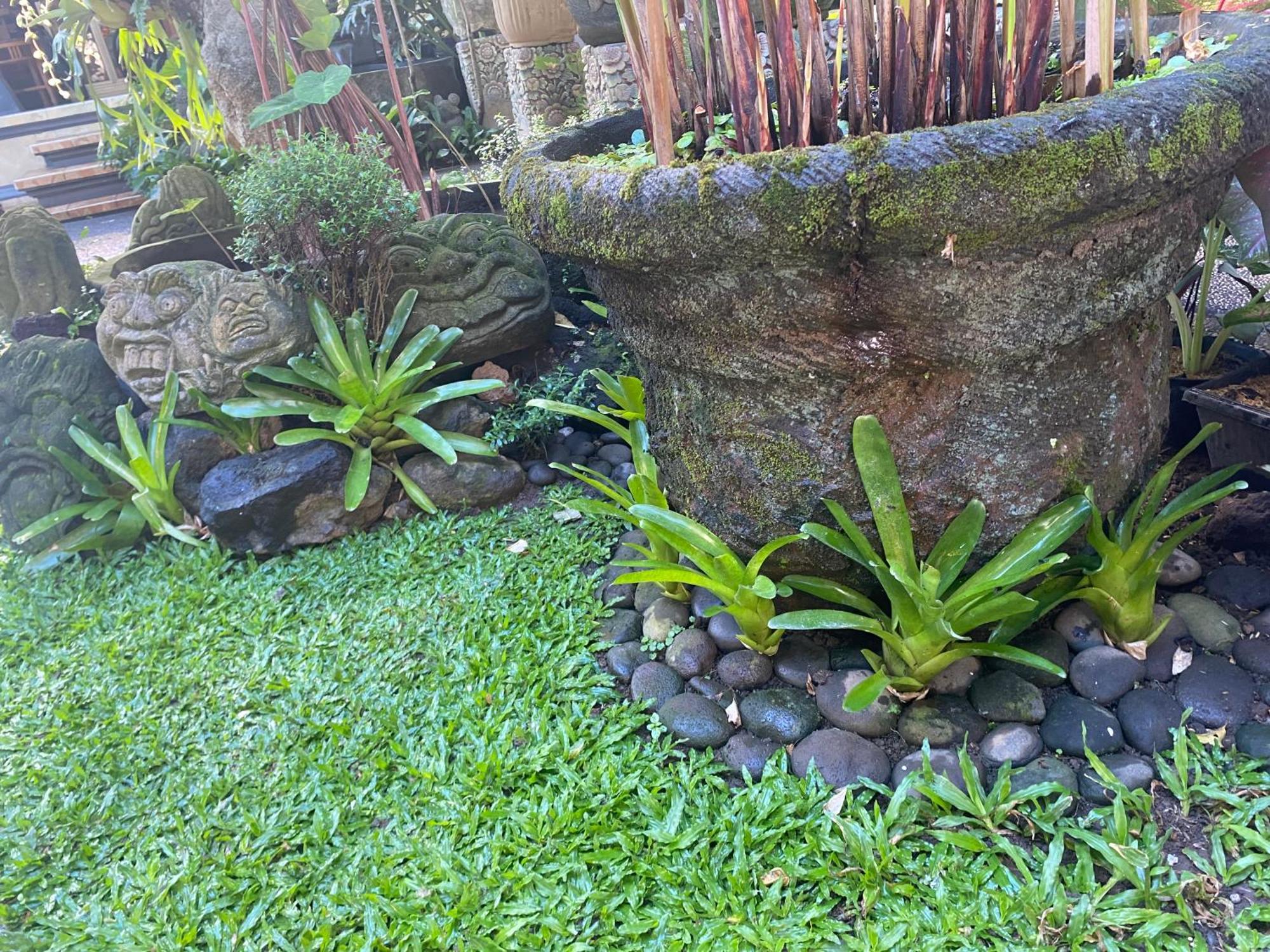 Gus Arditya Homestay Ubud  Exterior photo