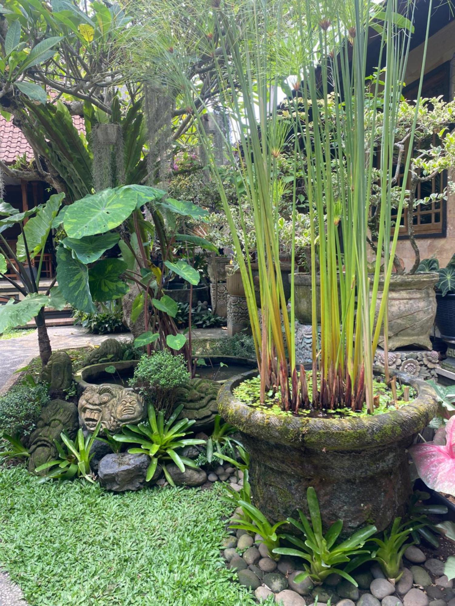 Gus Arditya Homestay Ubud  Exterior photo